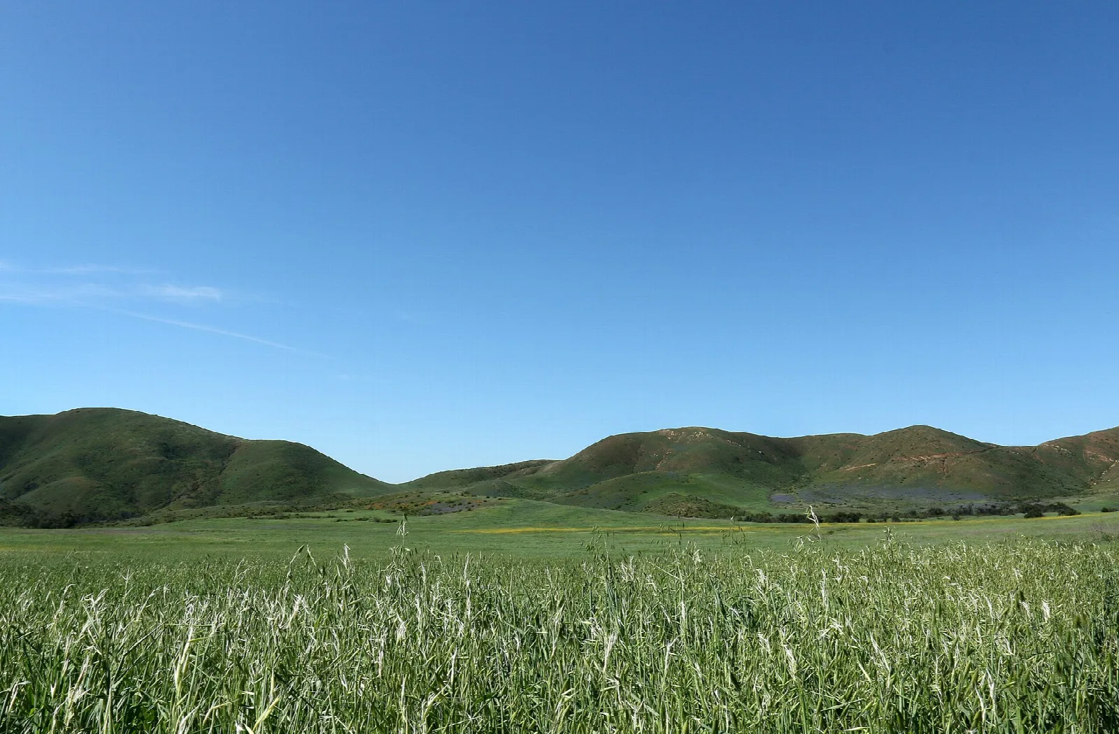 Green grass valley with rounded hills beyond