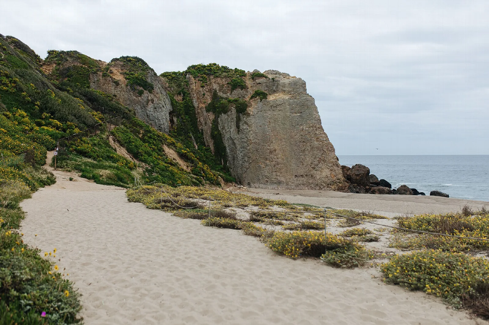 Sandy trail through green brush toward a cliff