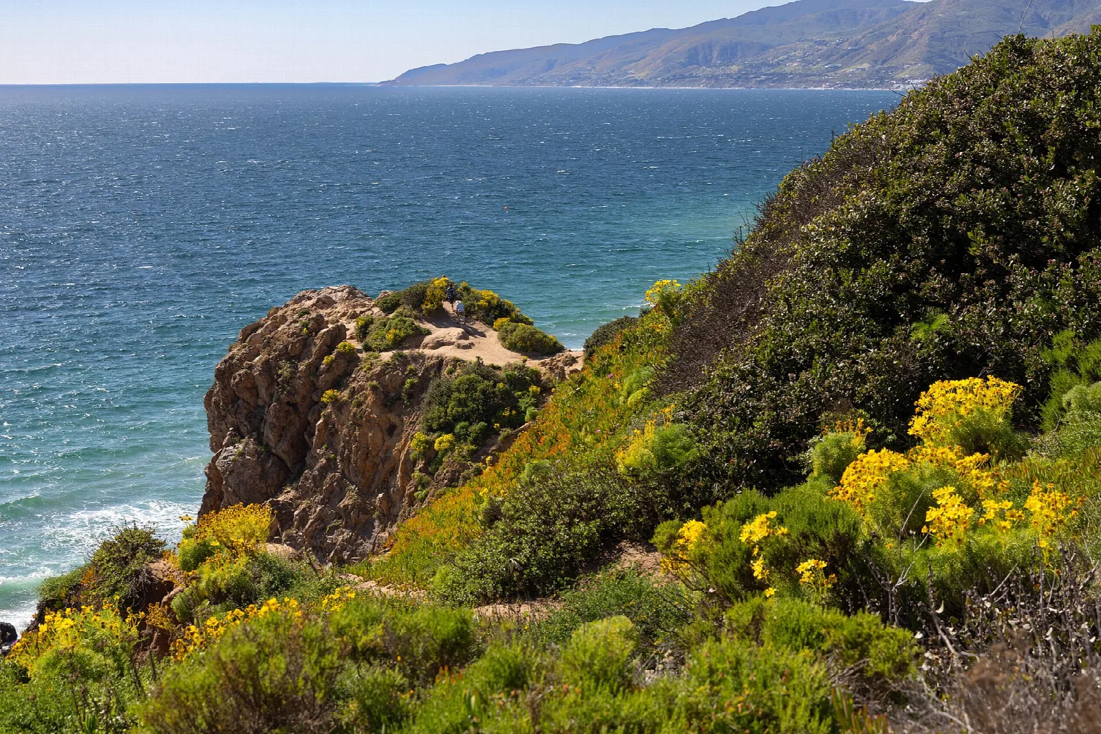 Blue sea and rocky bluff with yellow wildflowers