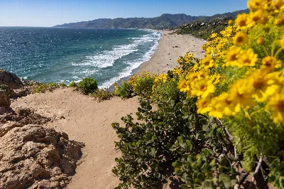 Point Dume State Beach