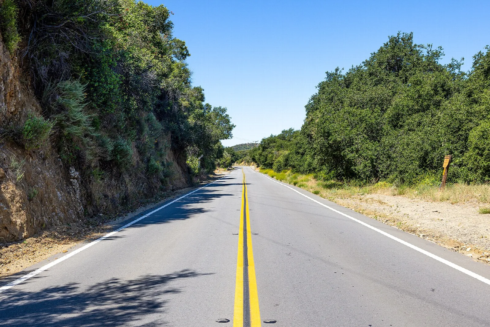 Two-lane road running through green canyon vegetation