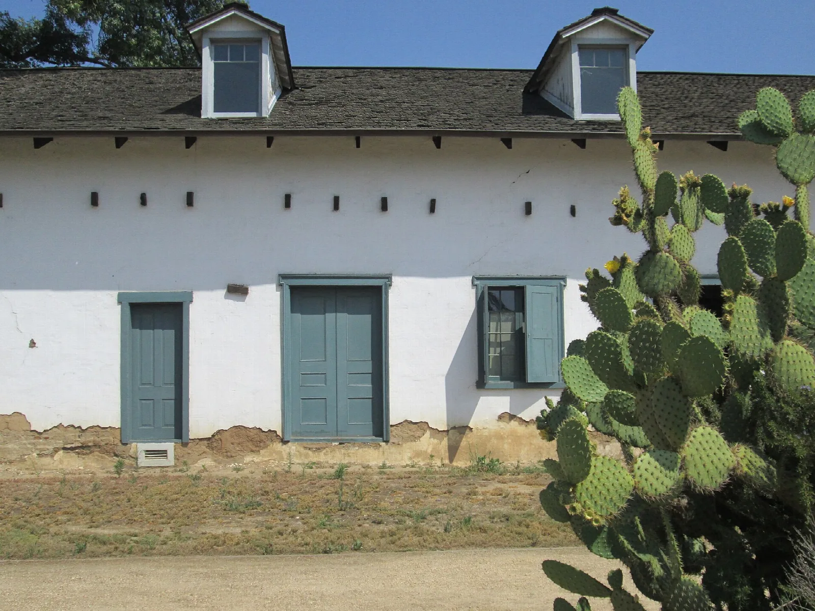 White adobe wall with green doors and a prickly pear cactus