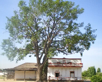 Pío Pico State Historic Park