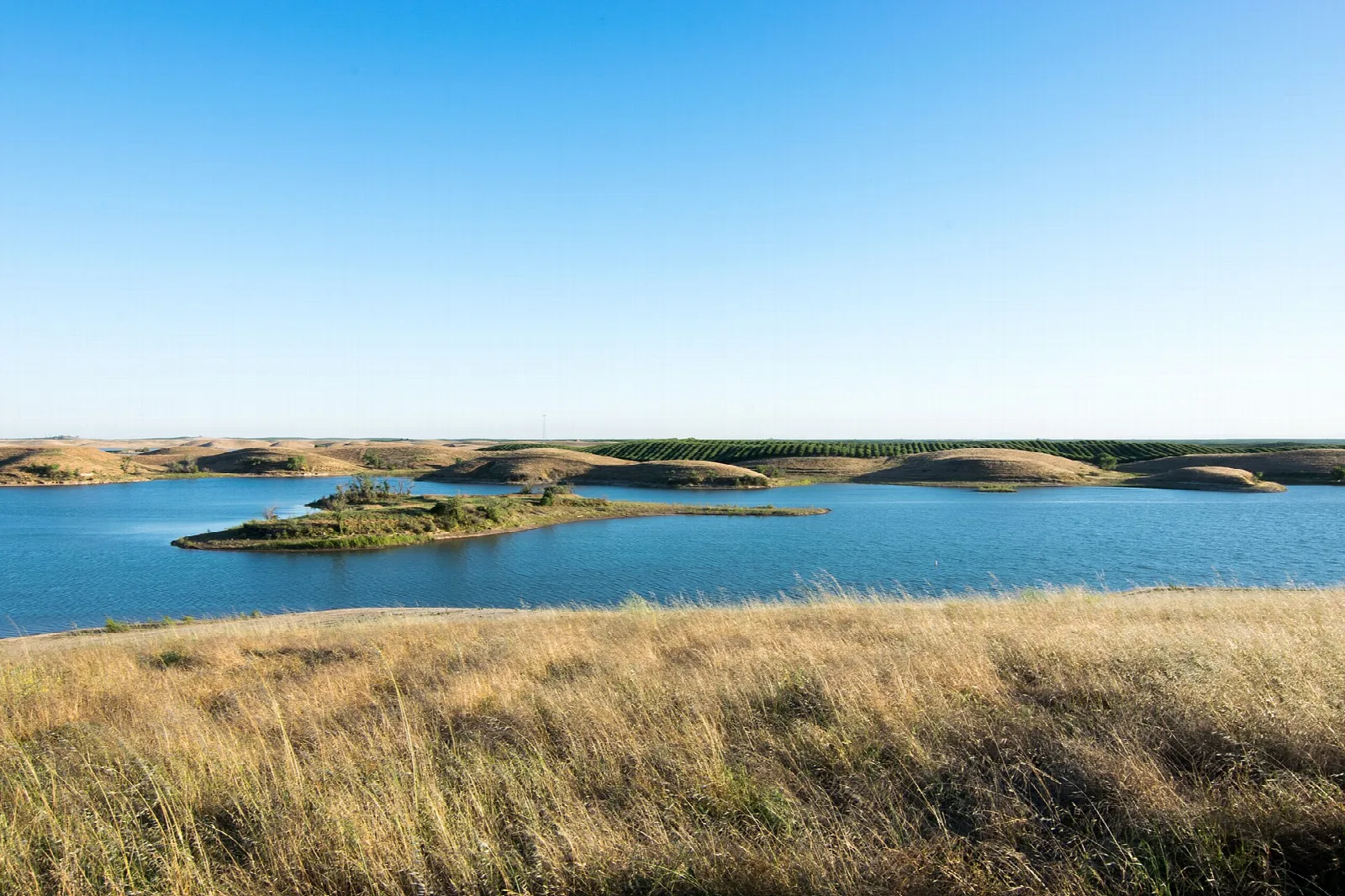 Blue lake with a small island and rolling golden hills beyond tall grass