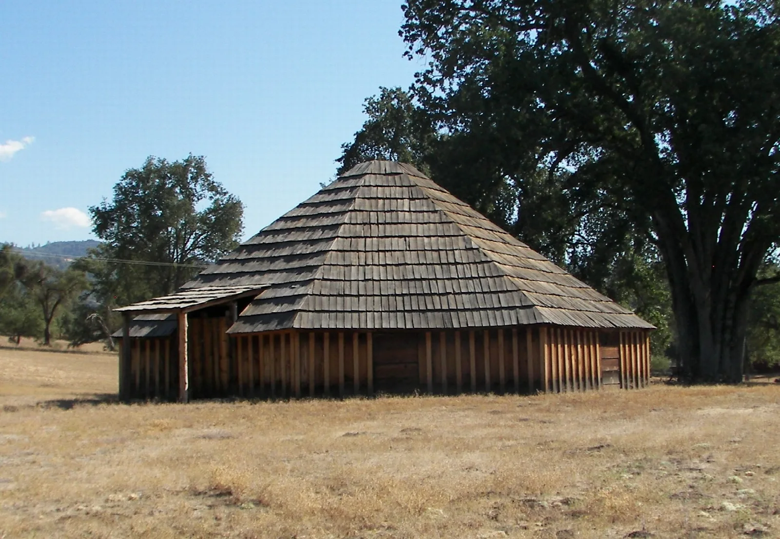 Round wooden building with a shingled roof beside an oak