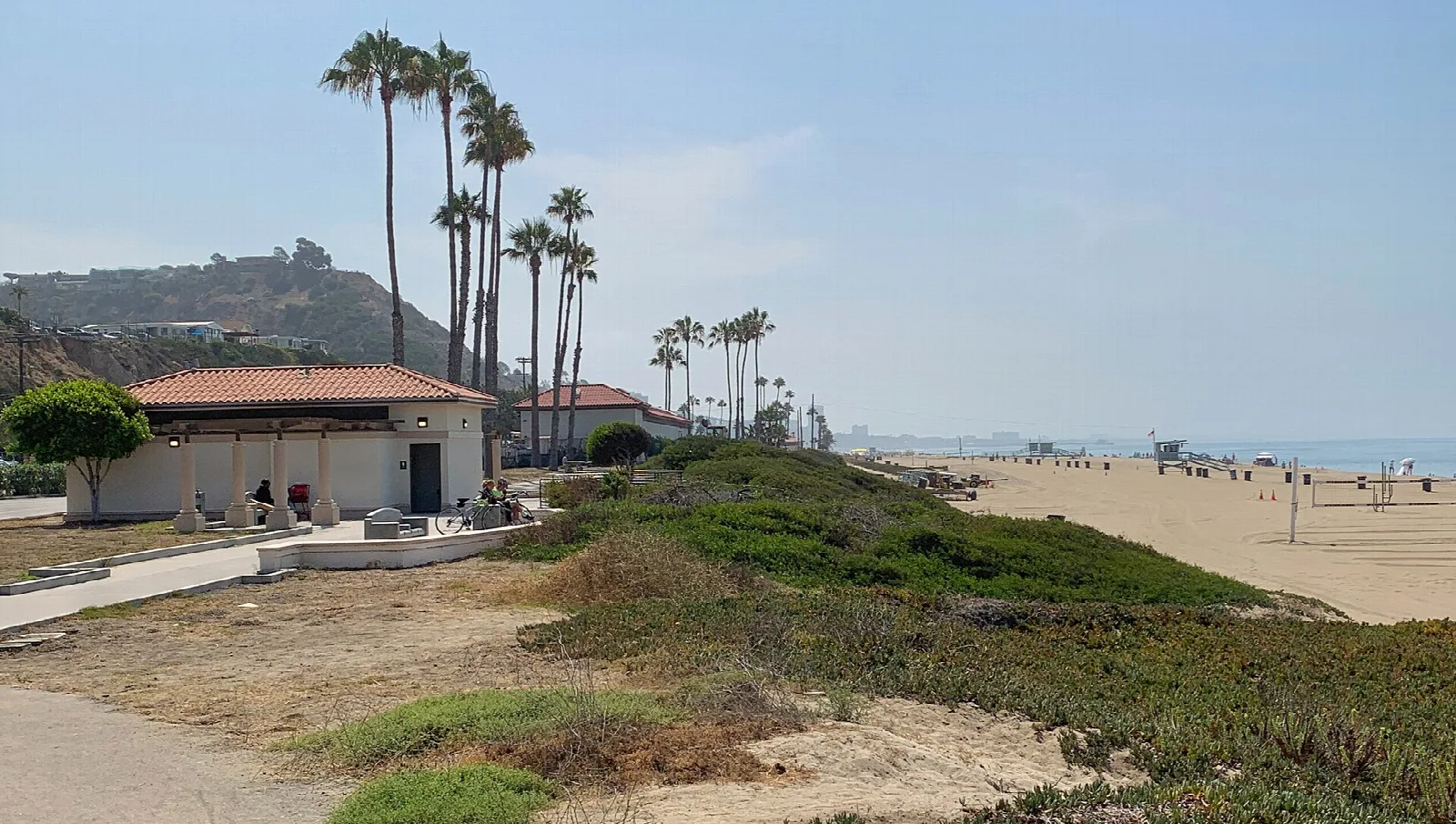 Palm trees, a beach building and sandy beach by the sea