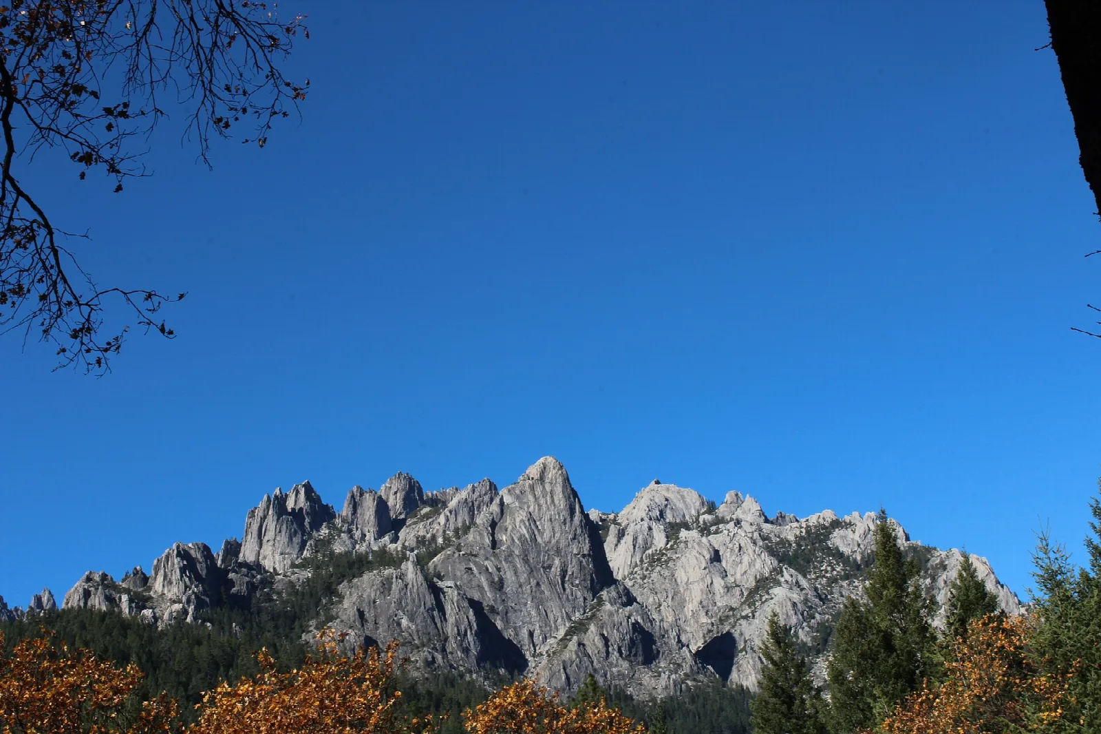 Jagged gray granite spires above evergreens under blue sky