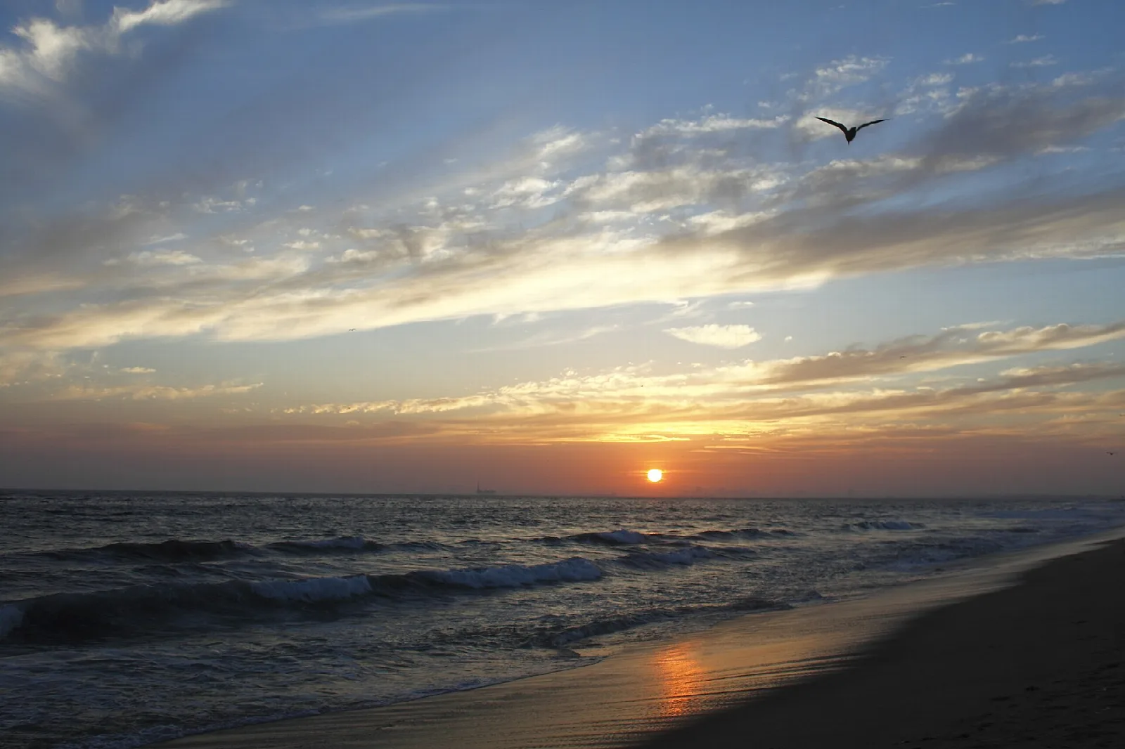 Cloudy sunset over the water with a bird in the sky
