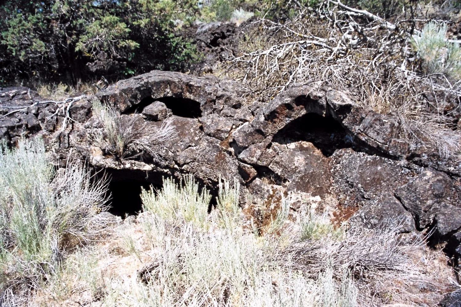 Black lava rock with small caves among sagebrush