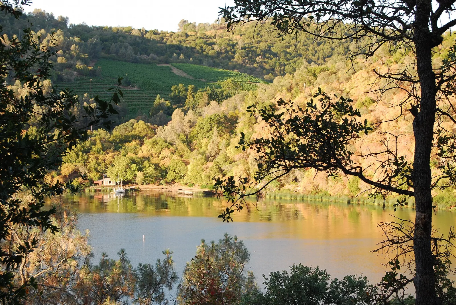 Calm lake cove ringed by trees with golden autumn light