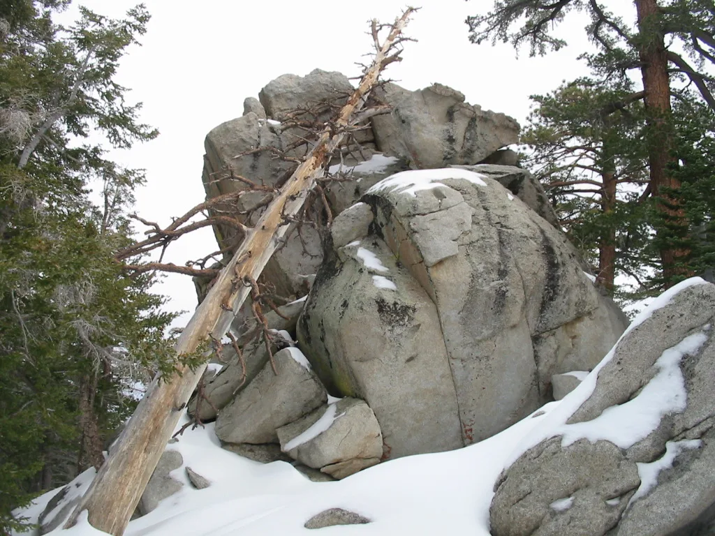 Granite boulders and pines dusted with snow on a trail