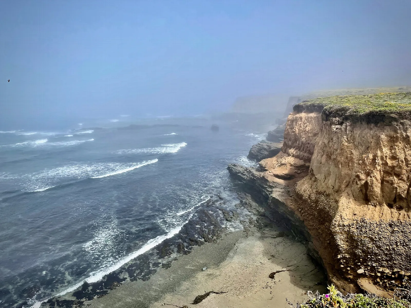 Sandstone cliff over a surf-washed beach in fog