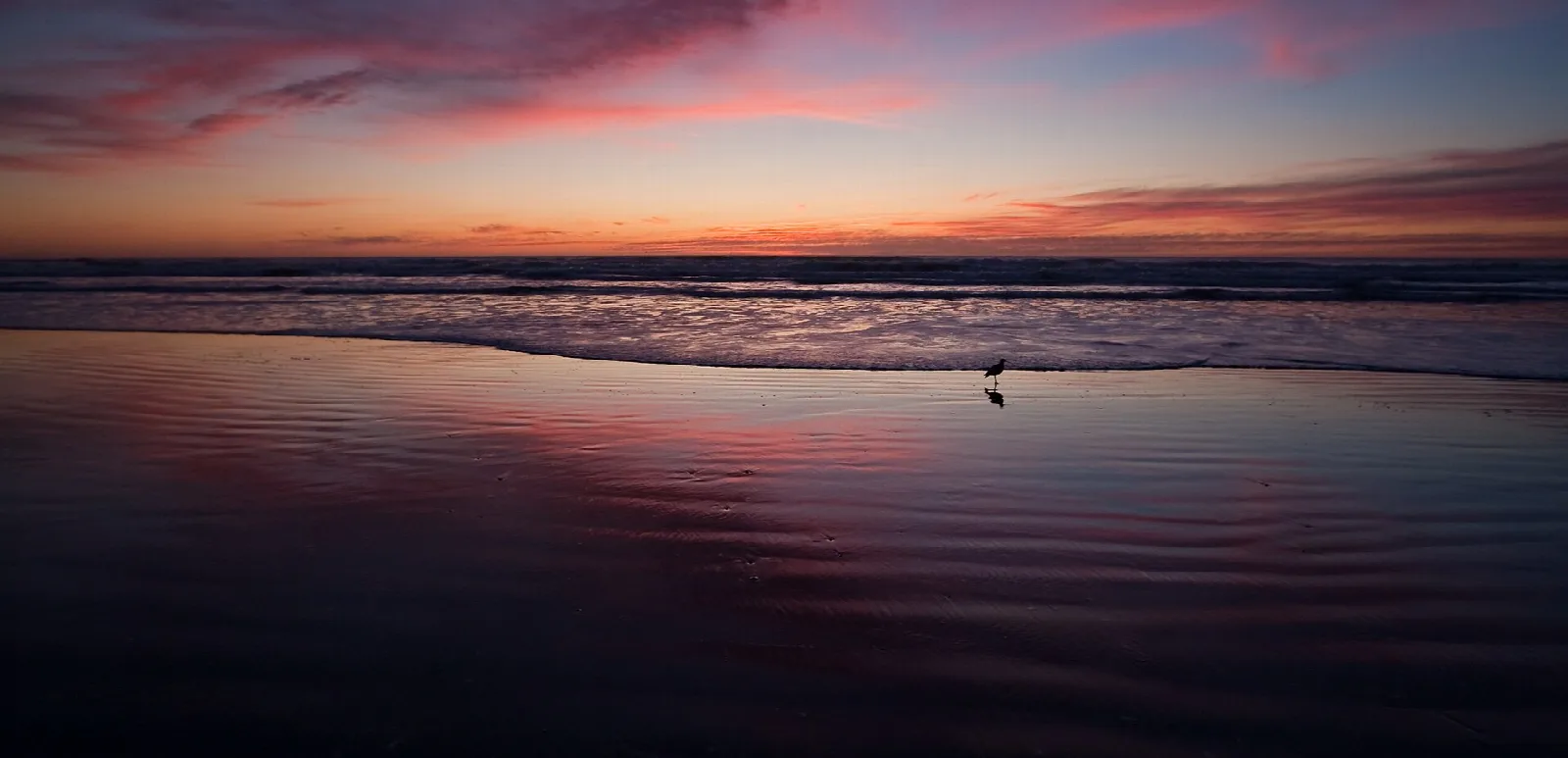 Wet sand reflecting a pink and purple sunset sky