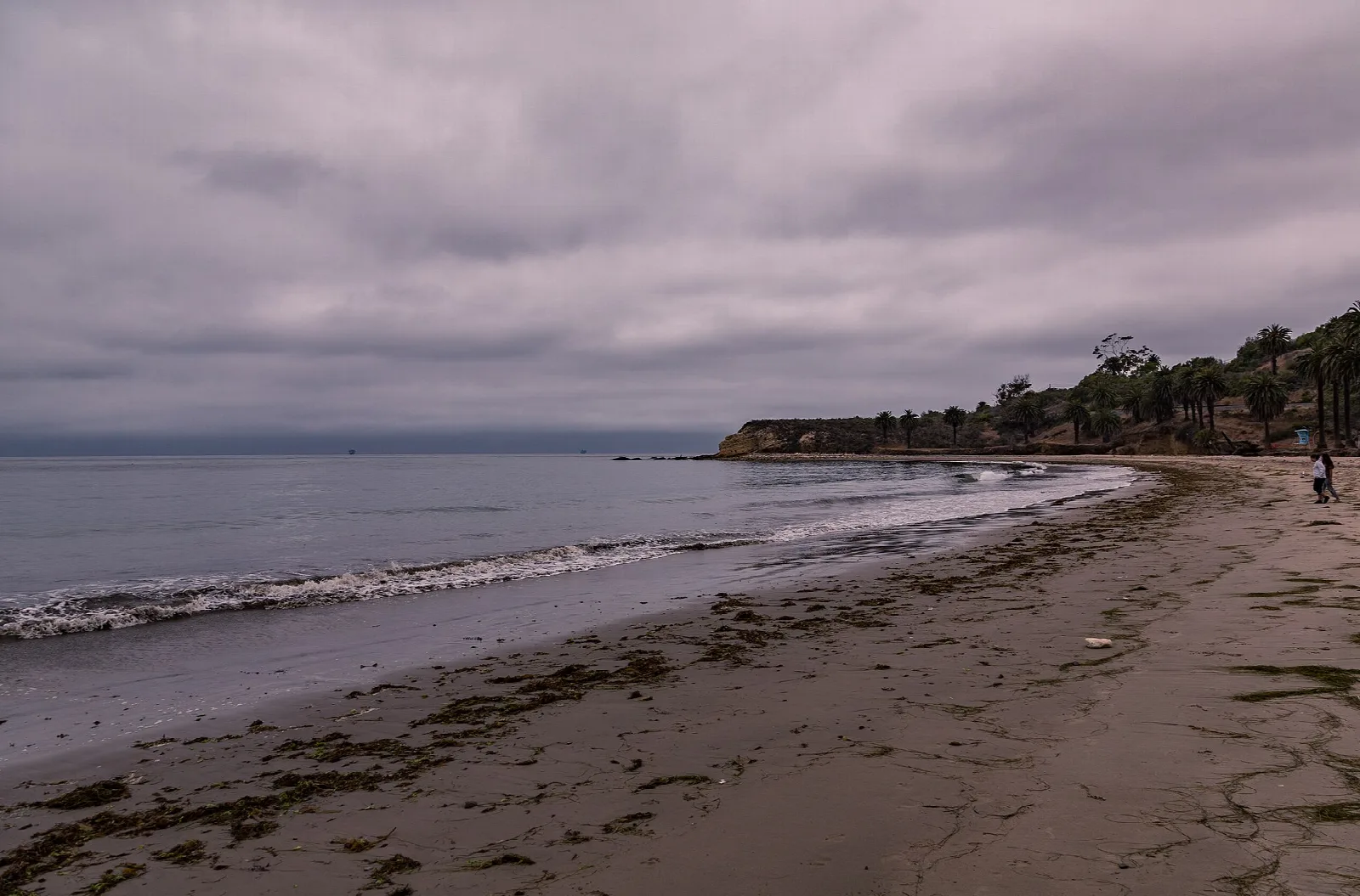 Long beach curving toward a point with palm trees under a cloudy sky