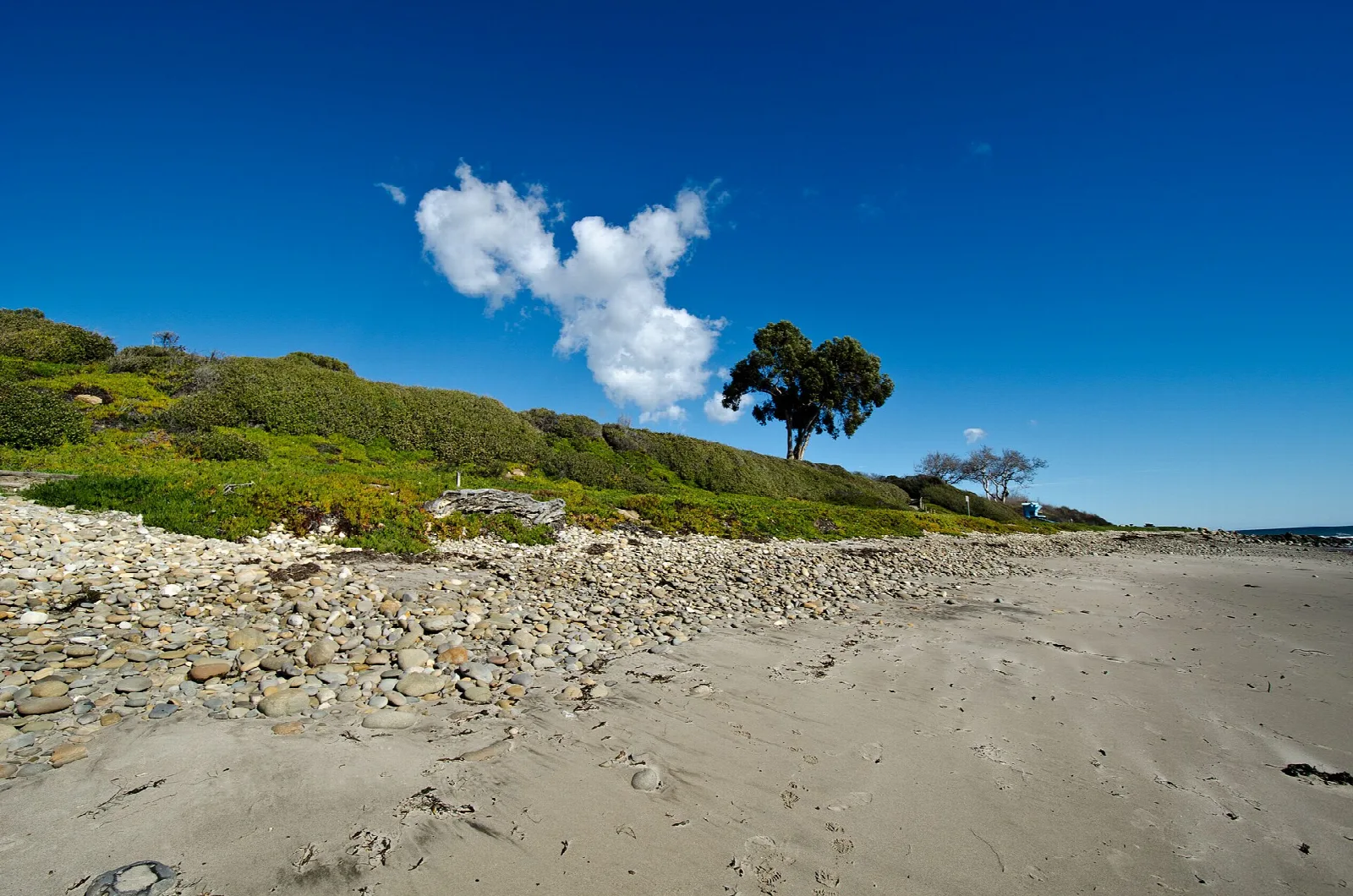 Grassy bluff with a lone tree above a pebbled beach and blue sky