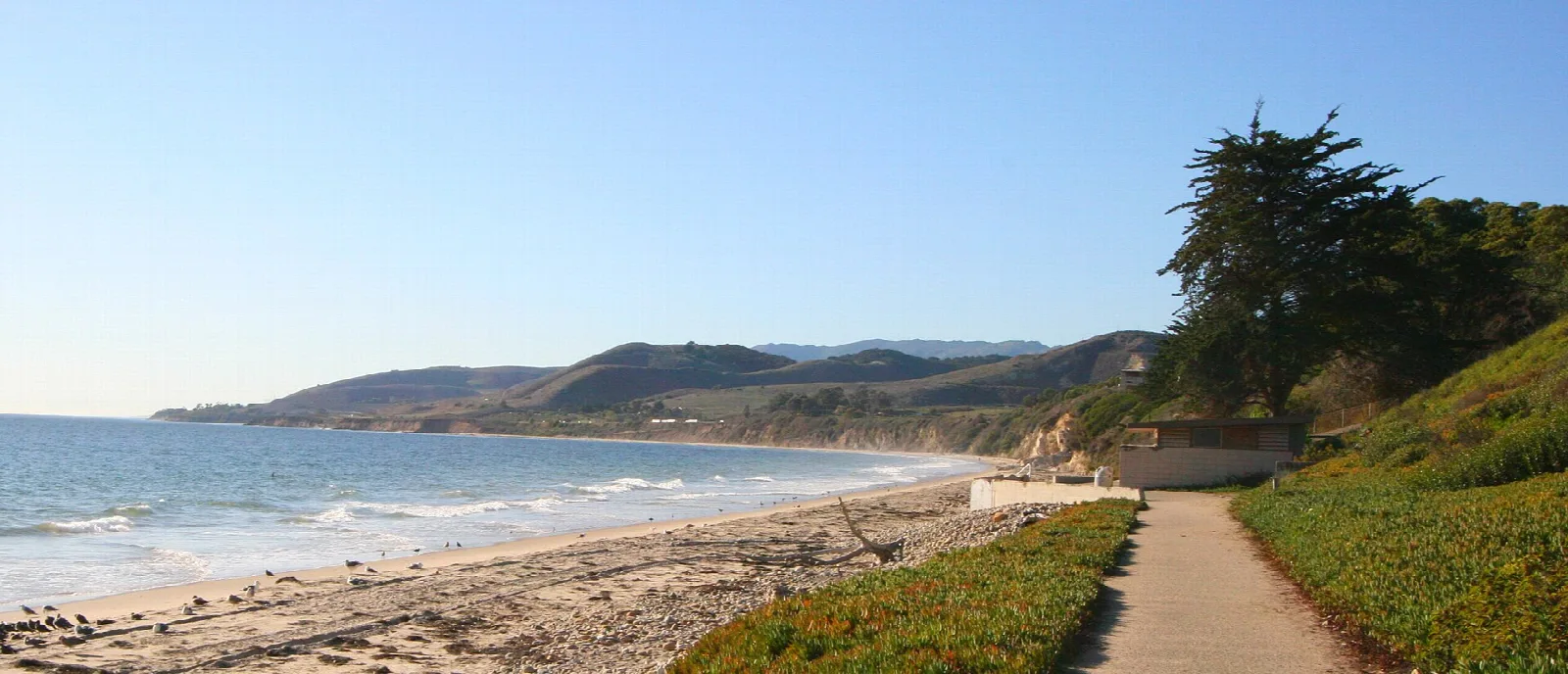 Path along a grassy bluff above the beach and ocean