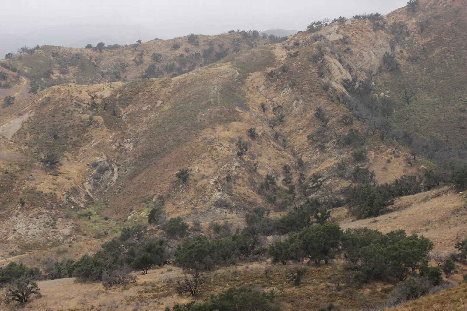 Dry brown hills and shrubs under cloudy sky