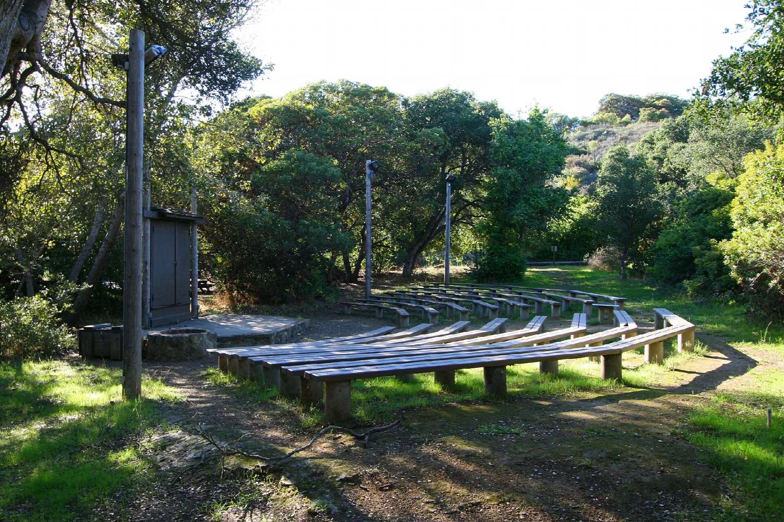 Rows of wood benches in an oak grove
