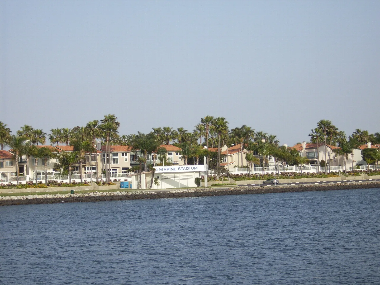 Calm water with palm trees and houses along the far shore
