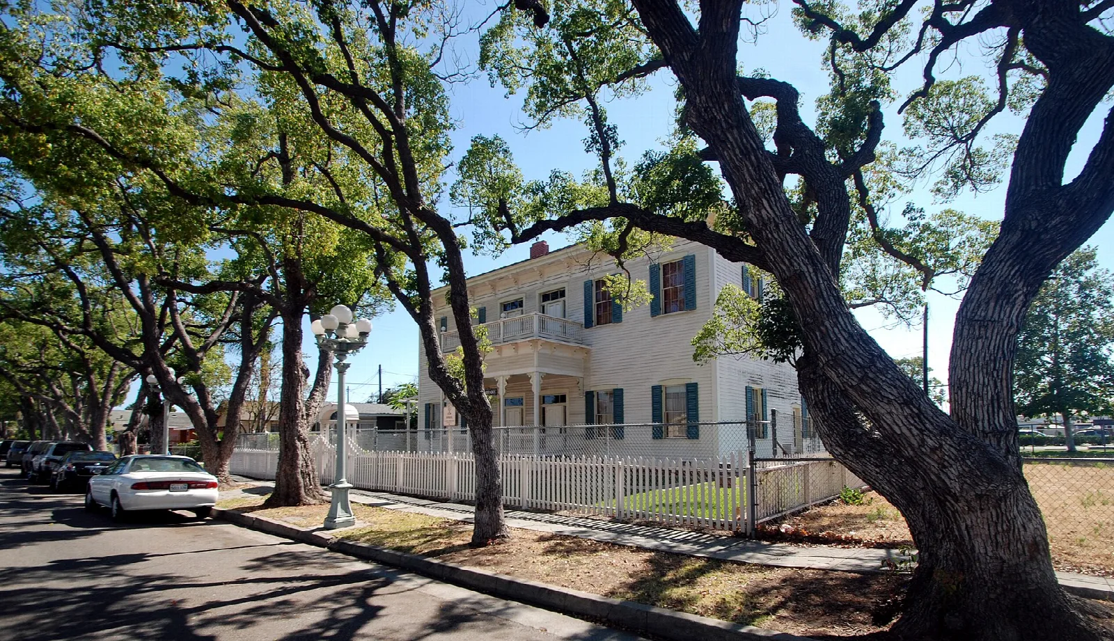 Street lined with oaks leading to a white mansion