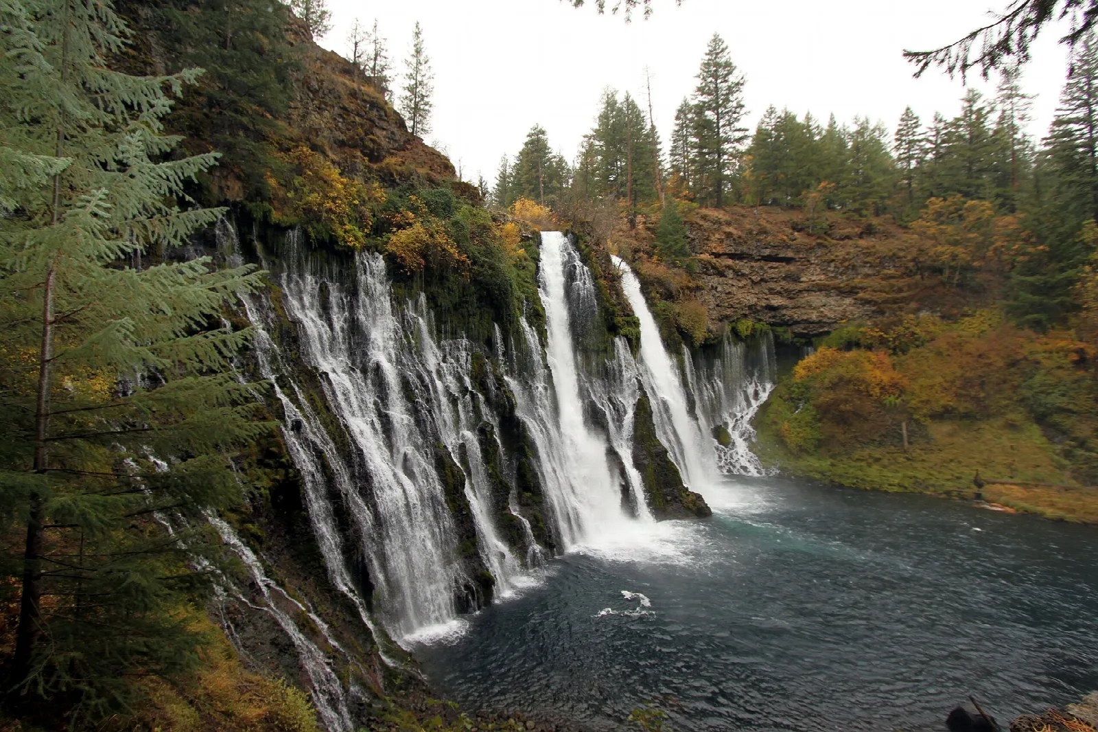 Waterfalls pouring from a rim of golden-leaved cliffs beside dark conifers