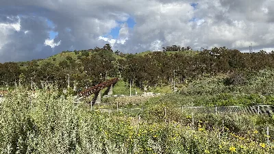 Kenneth Hahn State Recreation Area