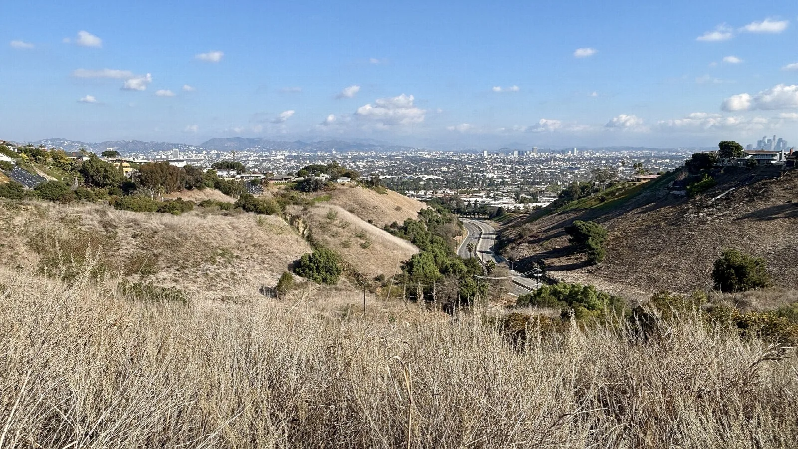 Dry grass hillside above a wide city and canyon view