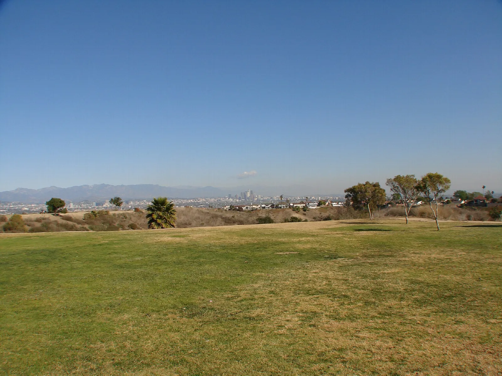 Open lawn on a hilltop with a hazy city skyline in the distance
