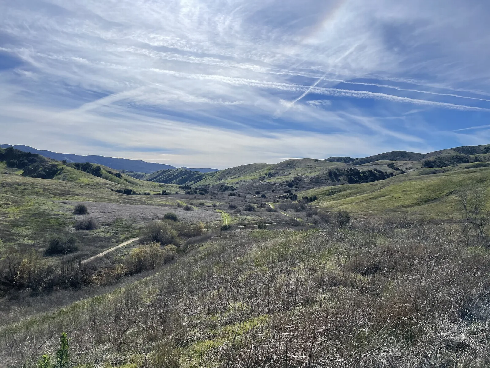 Wide view over grassy canyon and hills with thin clouds above