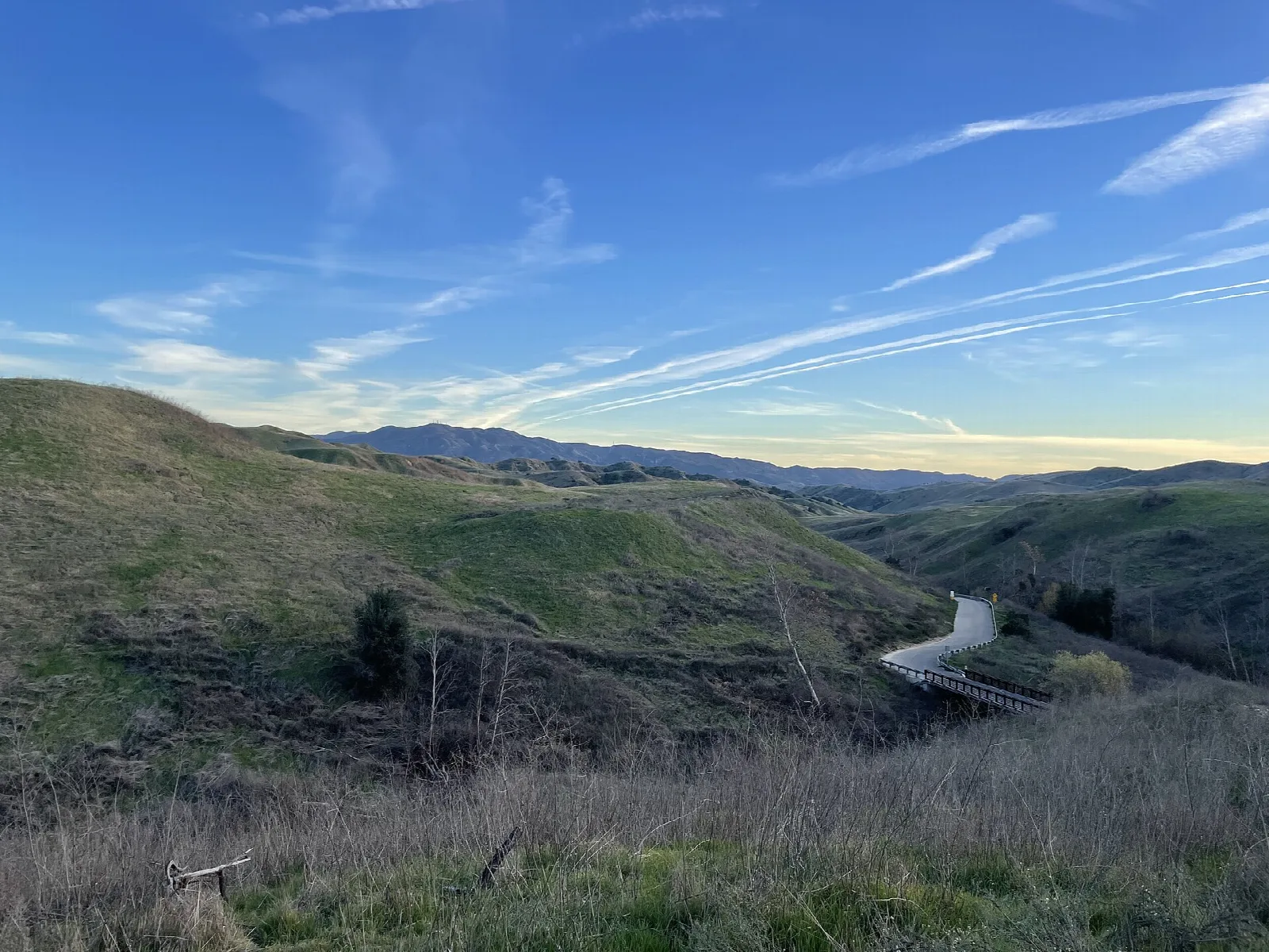 Green and golden hills with a dirt road winding into the distance