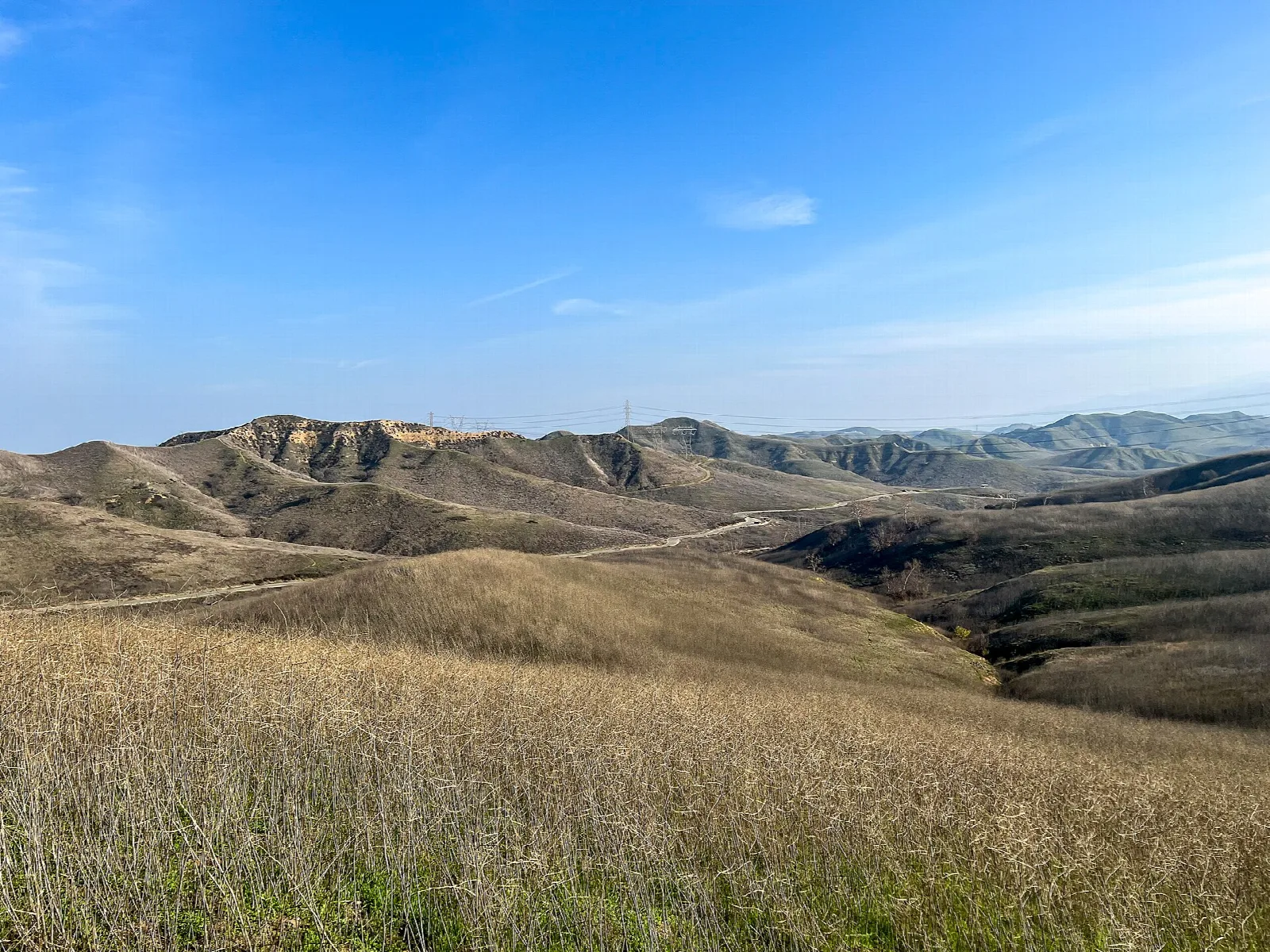 Rolling golden hills under a bright blue sky