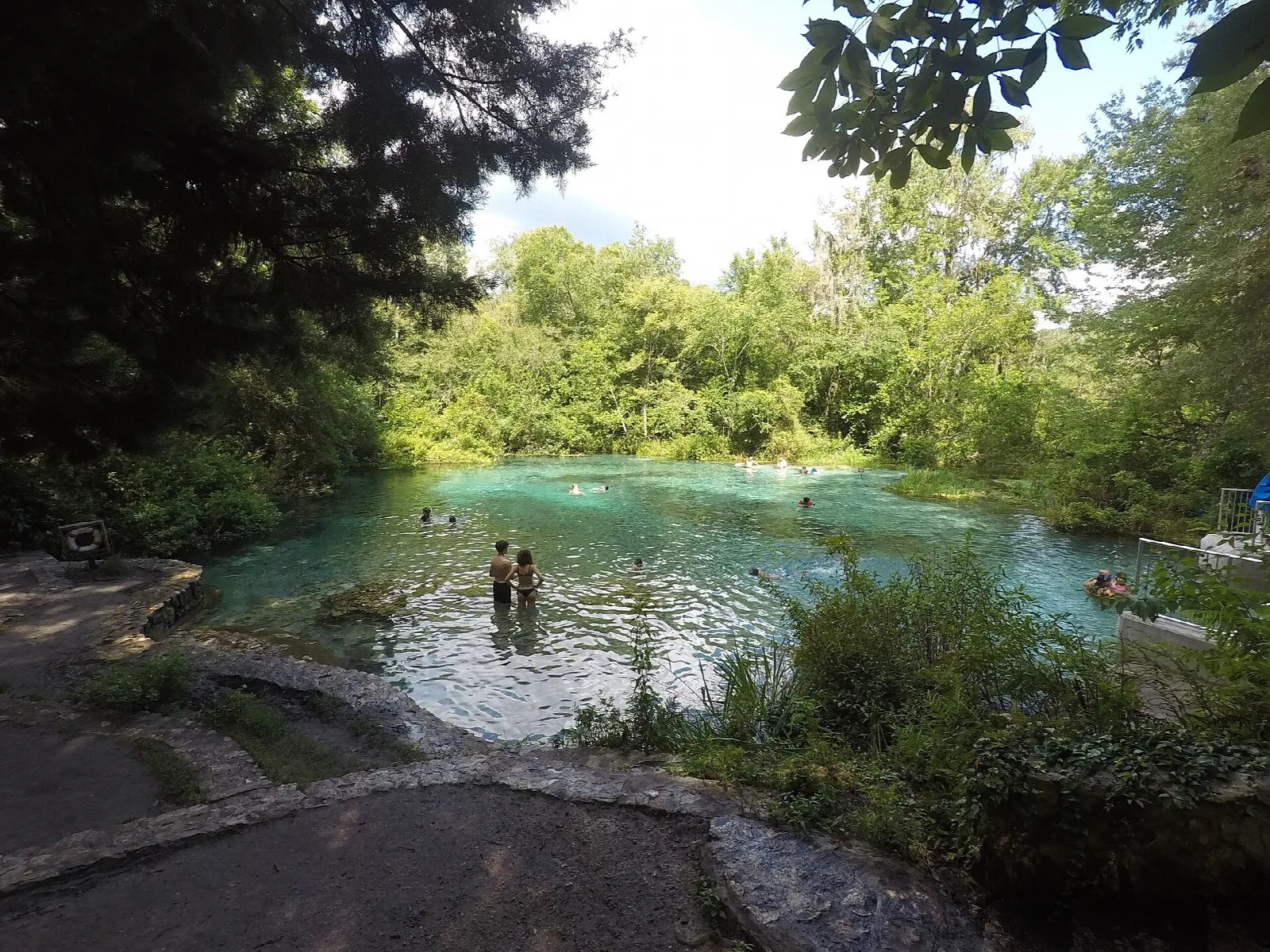 Spring-fed pool with swimmers beside a rock edge and green trees