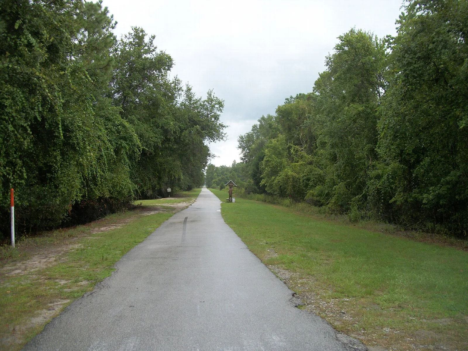 Straight paved rail trail lined with trees and grass