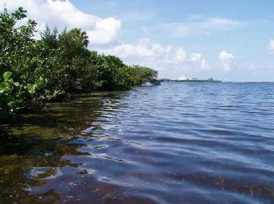 Terra Ceia Preserve State Park