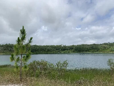 Mike Roess Gold Head Branch State Park