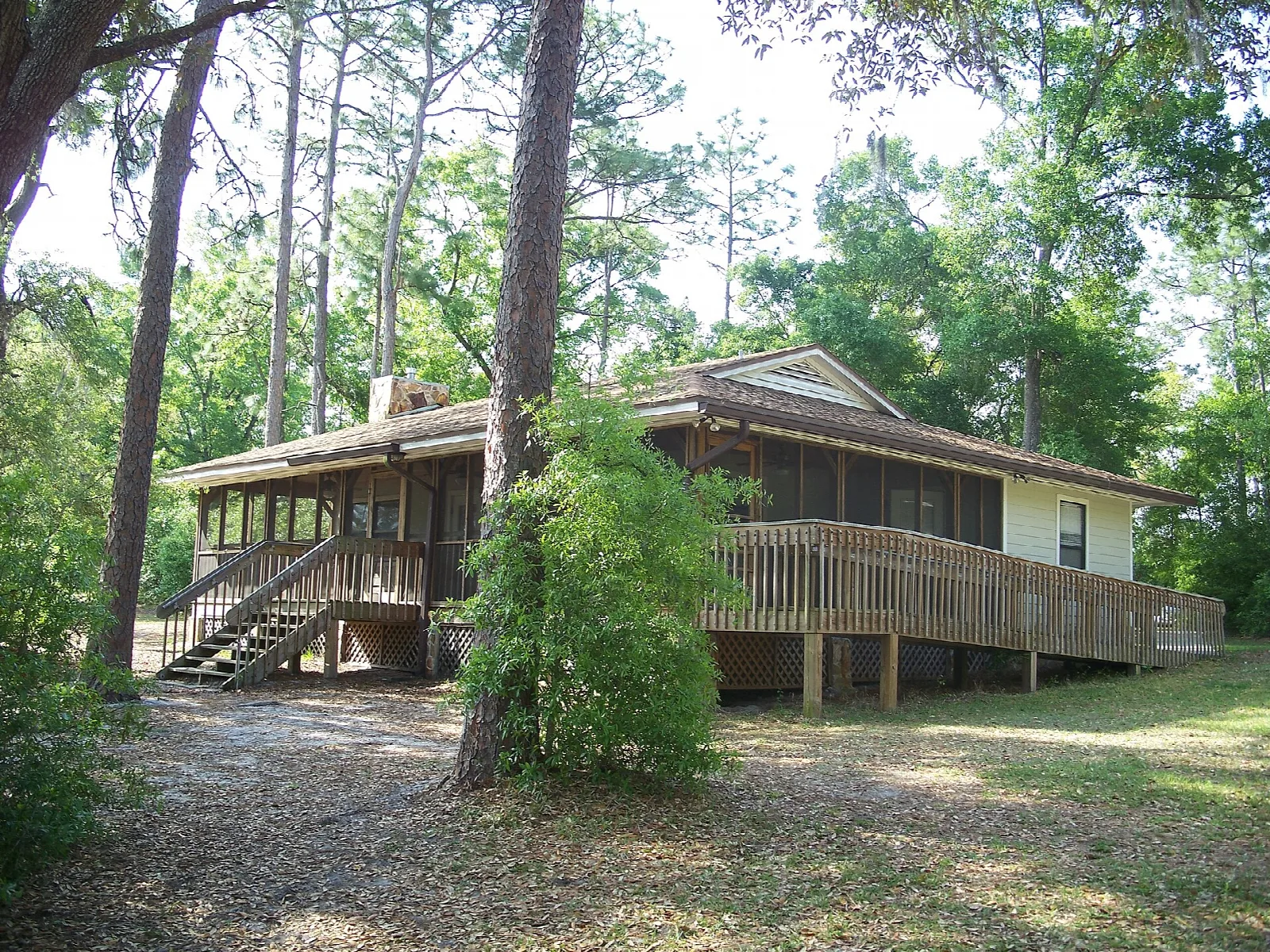 Wooden cabin with a deck among pines