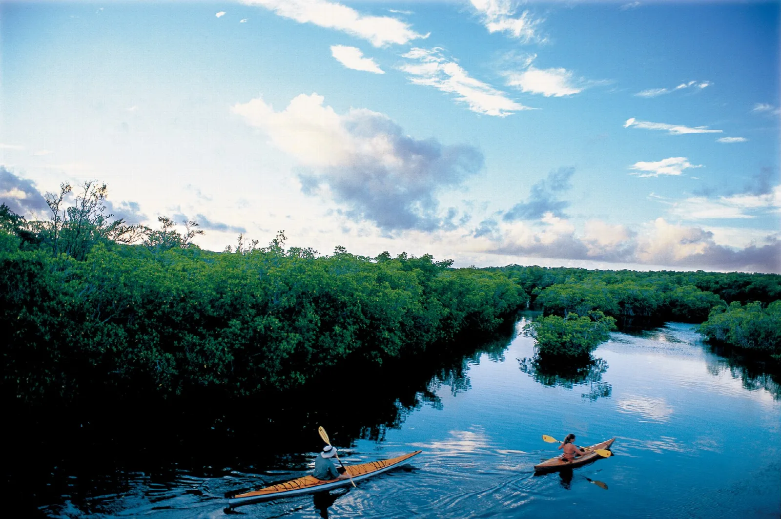 Two kayakers paddling a channel through dense mangroves under blue sky