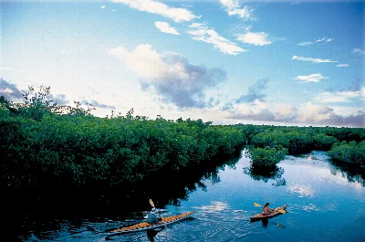 Curry Hammock State Park
