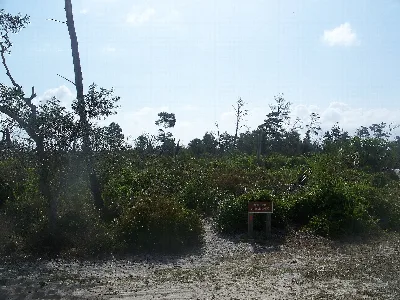 Seabranch Preserve State Park