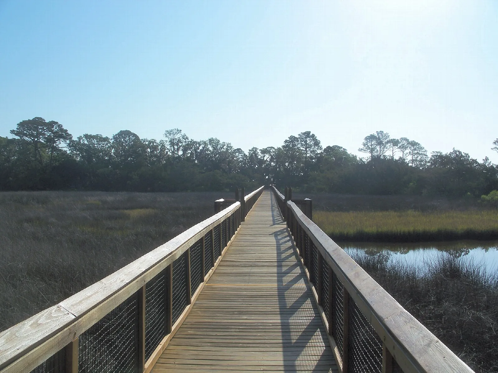 Wooden boardwalk stretching toward a marsh and pond