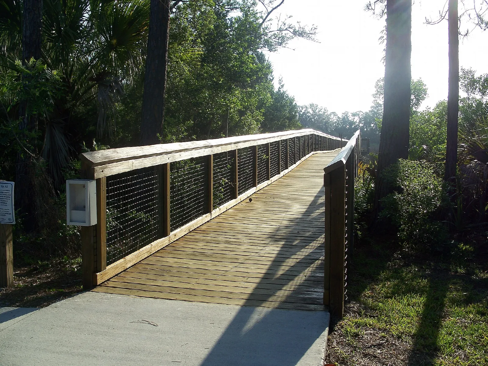 Boardwalk curving through trees, with a trail sign on the left