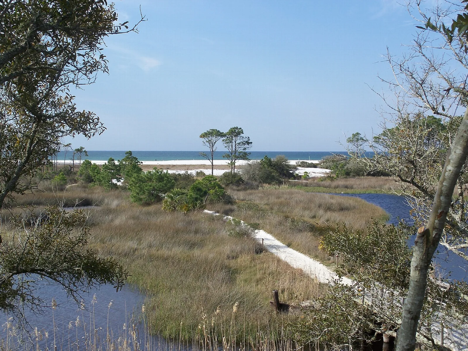 Marsh and boardwalk leading toward a dune and the Gulf