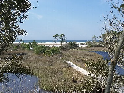 Camp Helen State Park