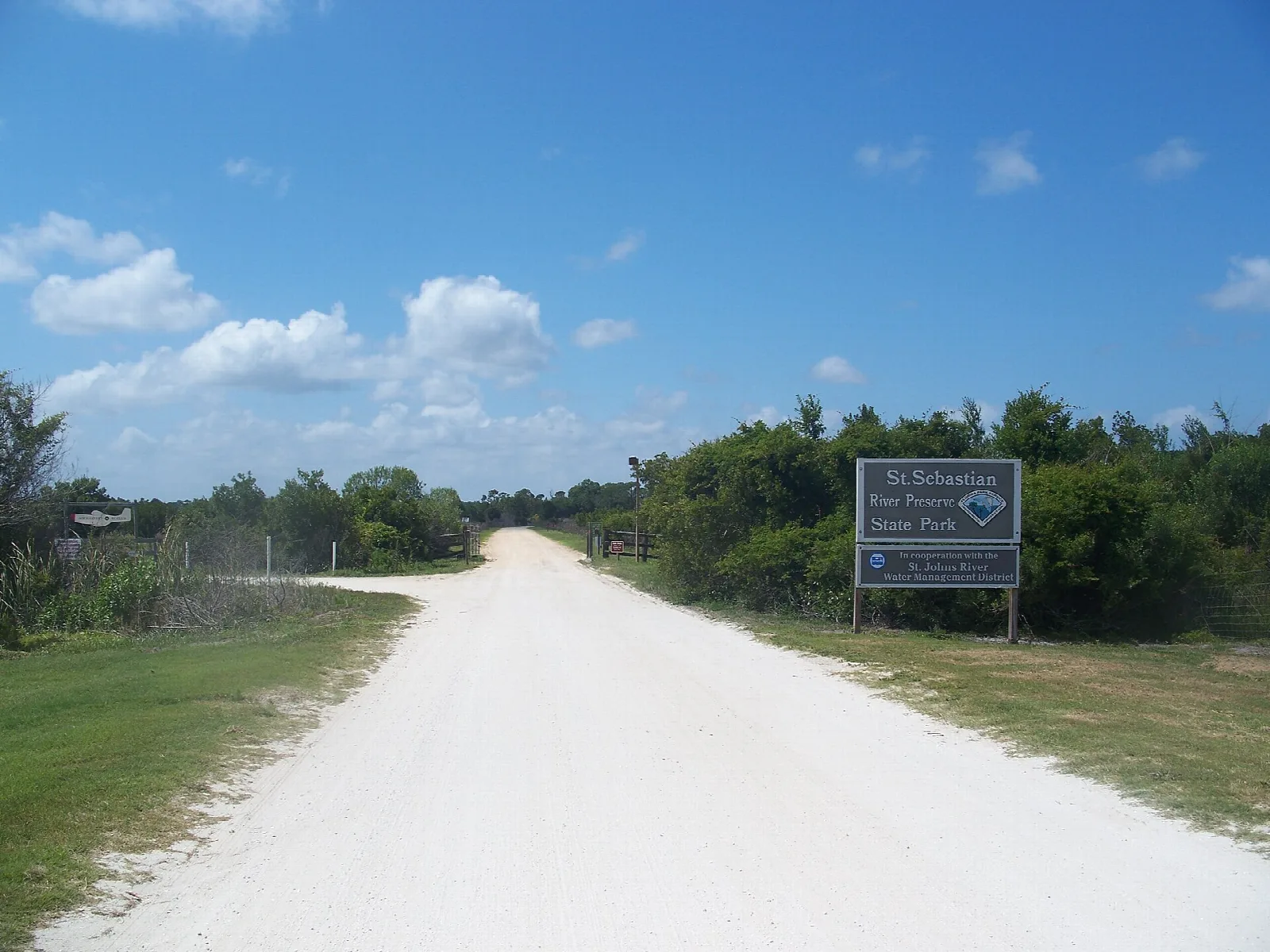 White sand road with a sign through open pine flatwoods