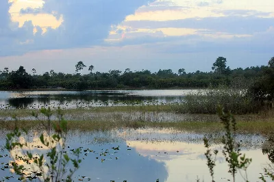 St. Sebastian River Preserve State Park