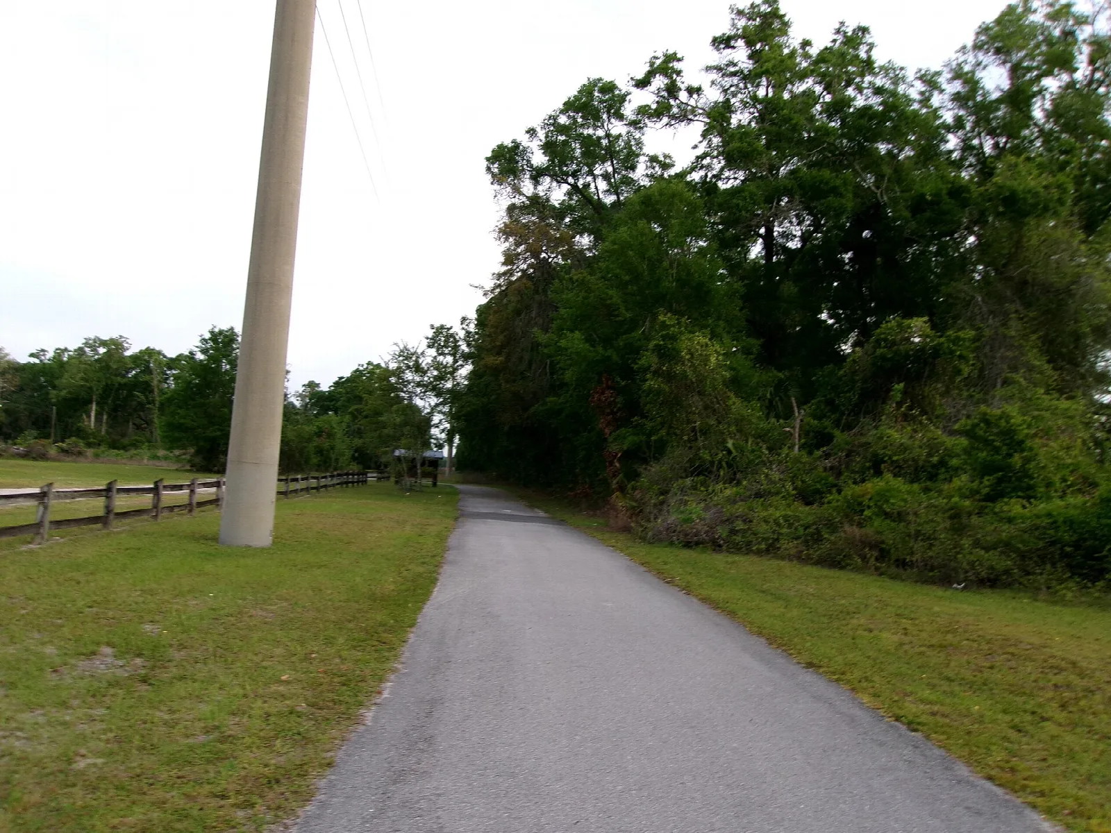 Paved trail beside a wooden fence between trees and grass