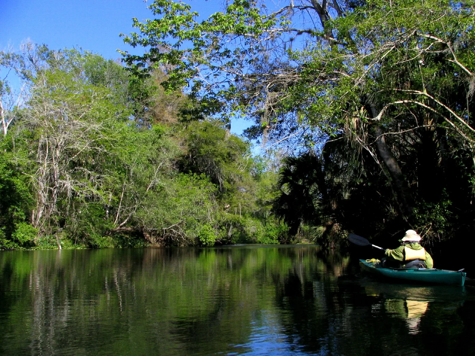 Paddler in a kayak on a calm river lined with trees