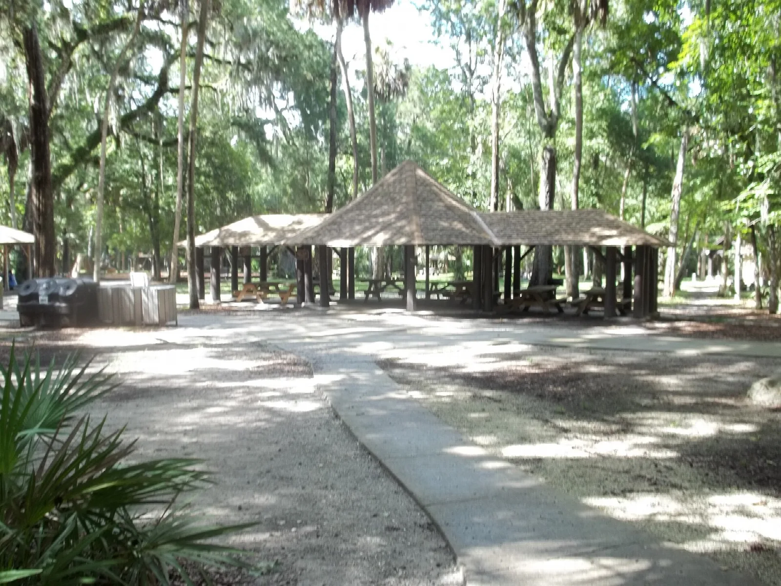 Picnic pavilion under big trees beside a paved path