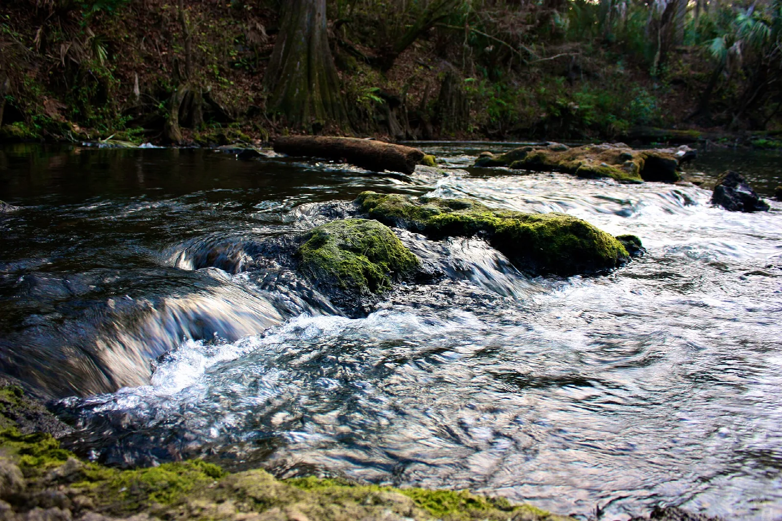 Water tumbling over mossy rocks in a shaded river