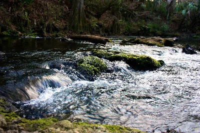 Hillsborough River State Park